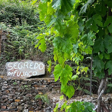 O Segredo Do Fujaco Βίλα São Pedro do Sul Εξωτερικό φωτογραφία