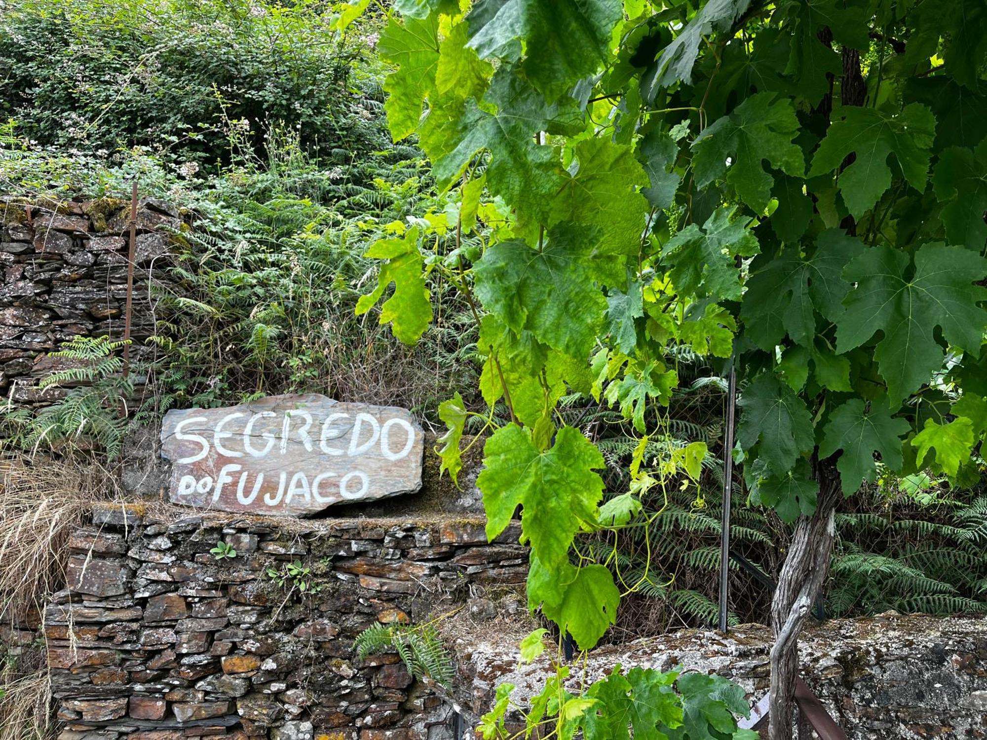 O Segredo Do Fujaco Βίλα São Pedro do Sul Εξωτερικό φωτογραφία